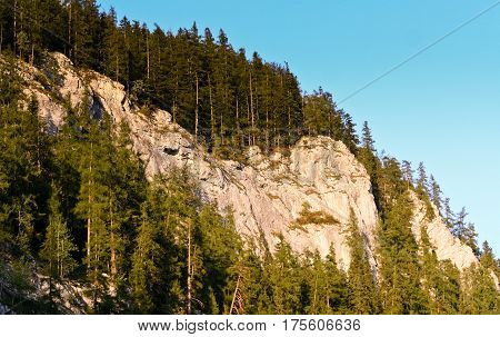 beautiful view of the mountains from the bottom up, decorate fir slope, blue sky, sunny evening,