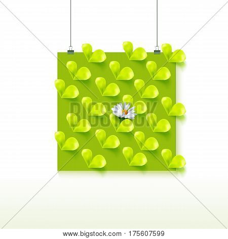 Green panno with sprout leaves and chamomile flower isolated on white background. Young summer grass banner. Vector illustration