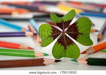 Back to school: Shamrock and colored pencils on the table