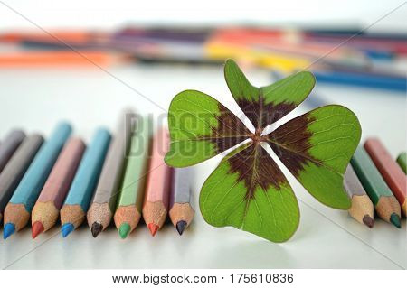 Back to school: Four leaf clover and colored pencils on the table