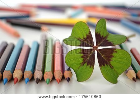 Back to school: Four leaves clover and colored pencils