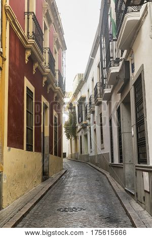 Cordoba (Andalucia Spain): old typical street in the Juderia
