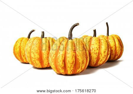 Five red striped pumpkins isolated on white background