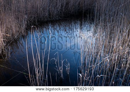 Massaciuccoli, Lucca, Tuscany, Italy - Nature Reserve Oasis Lipu