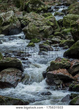 creek with running water