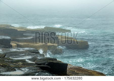 Foggy Morning On Schoodic