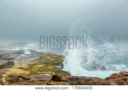 Foggy Morning On Schoodic