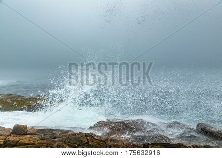 Foggy Morning On Schoodic