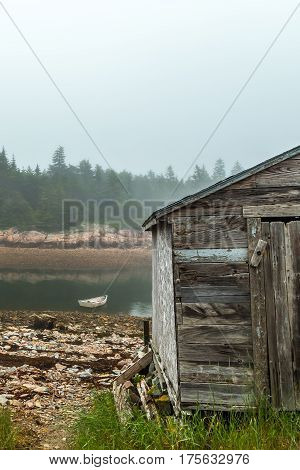Foggy Morning On Schoodic
