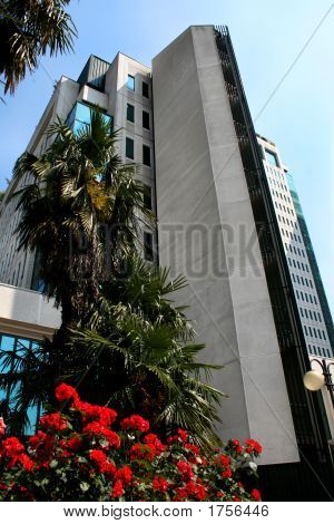 Biura Tower