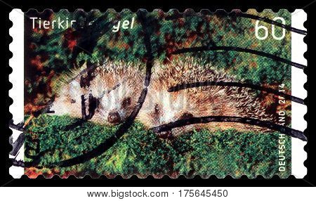 STAVROPOL RUSSIA - March 08 2017: A stamp printed in Germany shows Kinder Igel circa 2014