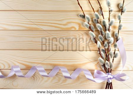 Willow branches with catkins on natural wood from above. free text space.