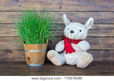 Plush kangaroo with a red scarf around his neck sitting on a wooden brown background with green grass in a small wooden bucket