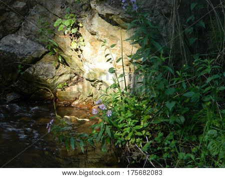 Hardie falls near Peachland b.c. part of the stream system below falls shot at mid day with the sun just being able to see thru the tense forest to create this unique spot light effect