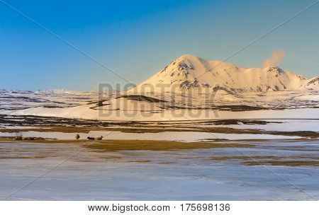 Beautiful Iceland winter season landscape with clear blue sky background natural landscpae background