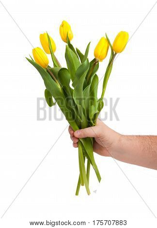 A bouquet of tulips in a hand on a white background. Birthday gift. The symbol of spring.