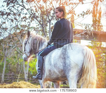 Young beautiful brunette girl rides a horse bareback with hackamore. Warm and sunny autumn day. Portrait of a pretty young woman on the horse, wearing tall boots and gloves.