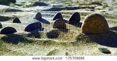 A composition made by stones in the sand