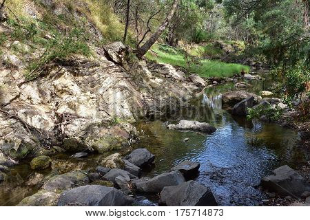 creek with running water and rocks through bush lands in fall late afternoon sun