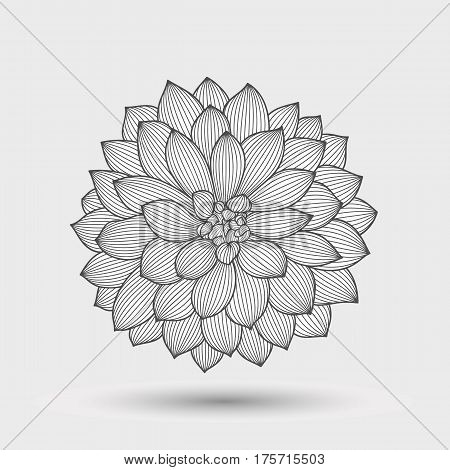 Abstract monochrome floral background. Hand drawing flower dahlia. Element for design