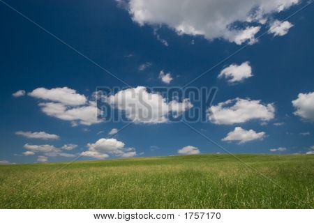 Zelená pole a modré nebe