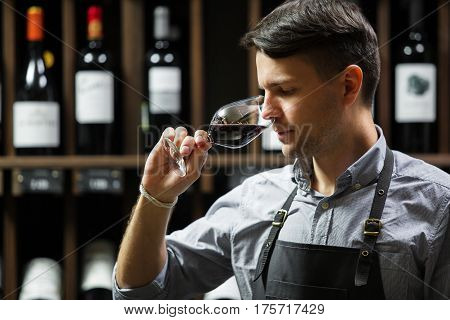 Sommelier smelling flavor of red wine in bokal on background of shelves with bottles in cellar. Male appreciating color, quality and sediments of drink. Professional degustation expert in winemaking.