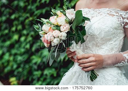 bride in a luxurious wedding dress with lace holding wedding bouquet made of roses. green wall of grape in a background
