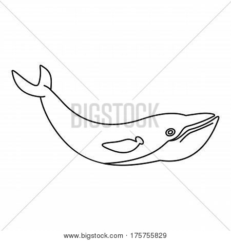 Whale fish icon. Outline illustration of whale fish vector icon for web