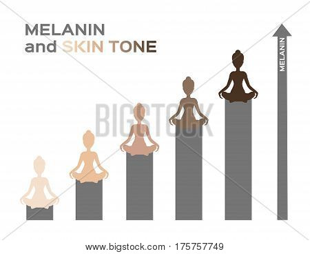 melanin and skin tone infographic vector .