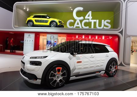 C4 Cactus