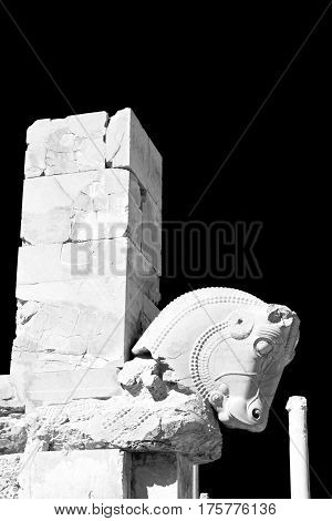 In Iran Persepolis