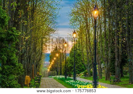 Urban alley in botanical garden Iasi Moldavia Romania.