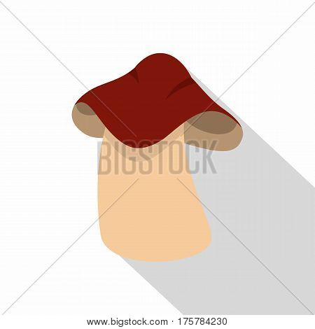 Boletus icon. Flat illustration of boletus vector icon for web