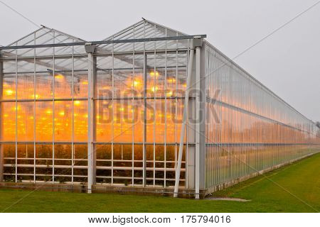 Exterior Of A Giant Commercial Glasshouse