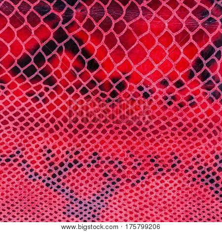 Texture of genuine leather close-up, embossed under the skin a reptile, catchy bright pattern. Square. For background , backdrop, substrate, composition use. With place for your text