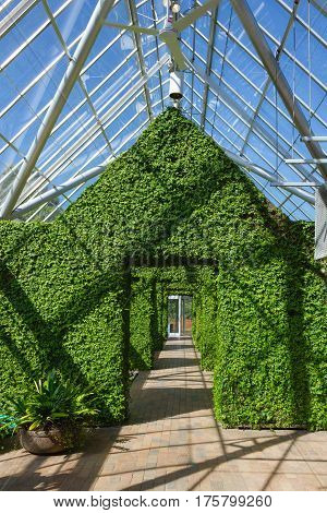 MINNEAPOLIS USA - APRIL 11 2012: Greenhouse at the Minneapolis Sculpture Garden