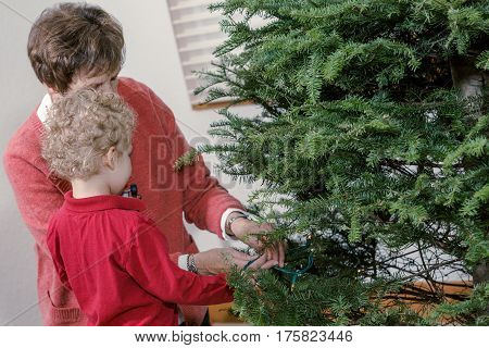 Family decorating beautiful live Christmas tree .