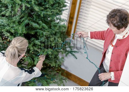 Family decorating beautiful live Christmas tree .