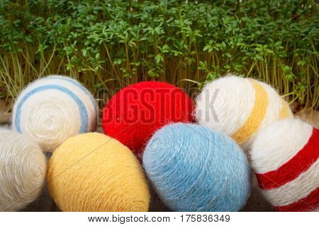 Easter Eggs Wrapped Woolen String And Green Cress, Decoration For Easter