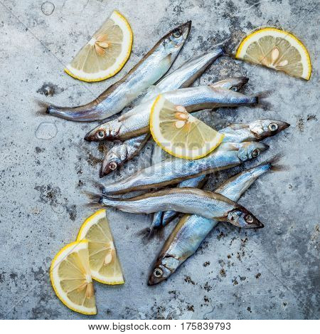 Fresh Catch Shishamo Fish Fully Eggs Flat Lay On Shabby Metal Background. Shishamo Fish Is Popular F