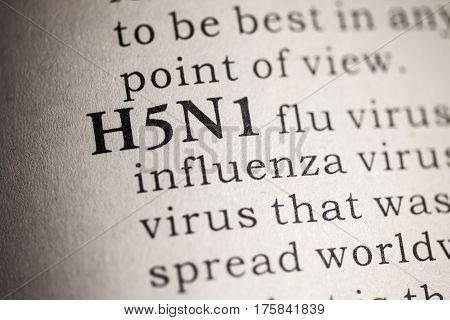 Fake Dictionary Dictionary definition of the word H5N1 flu.