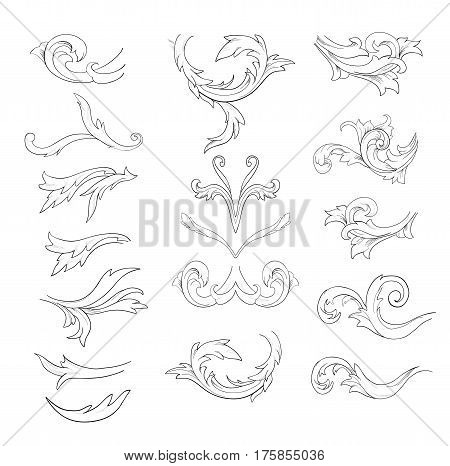 Graphic sketch of flower components on white background.