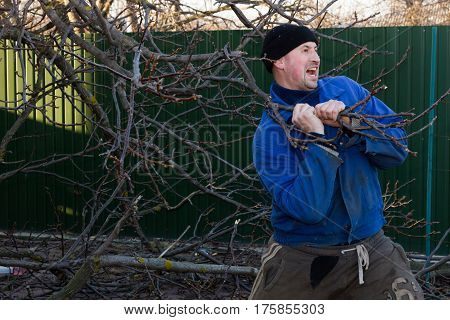 Man in working clothes working in the garden