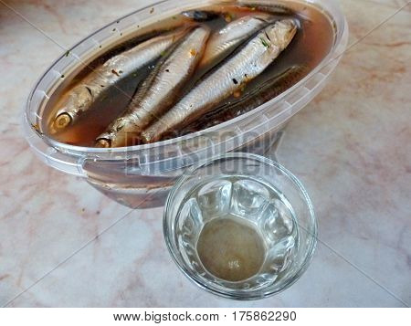 A bread, spicy salting anchovy  and a glass of vodka. Closeup. Gorgeous home appetizer under a glass of vodka. Natural food. Traditional Dishes of Russian Cuisine.