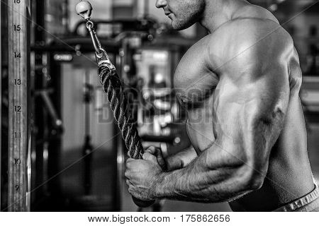 Brutal Caucasian Handsome Fitness Men On Diet Training Triceps Gym