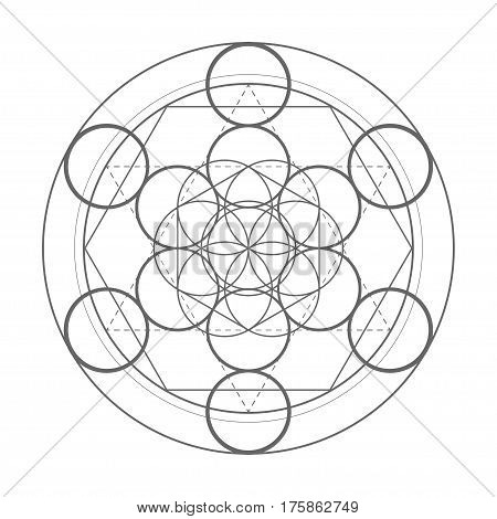 sacred geometry symbol. Metatrons cube vector illustration shape