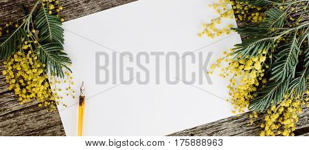 White paper mock up with yellow flowers mimosas and vintage pen ink on grey wooden background. Overhead view. Flat lay, top view, moke up