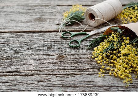 Make bouquet of mimosa. bandages twine and scissors on rustic wooden table. Copy space for text. top view