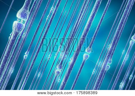 Synaptic transmission, human nervous system, 3d rendering