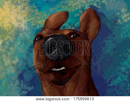 Head of smiling dasnchund on blue and green